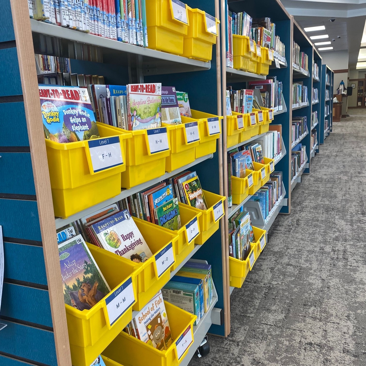 picture of books on shelves