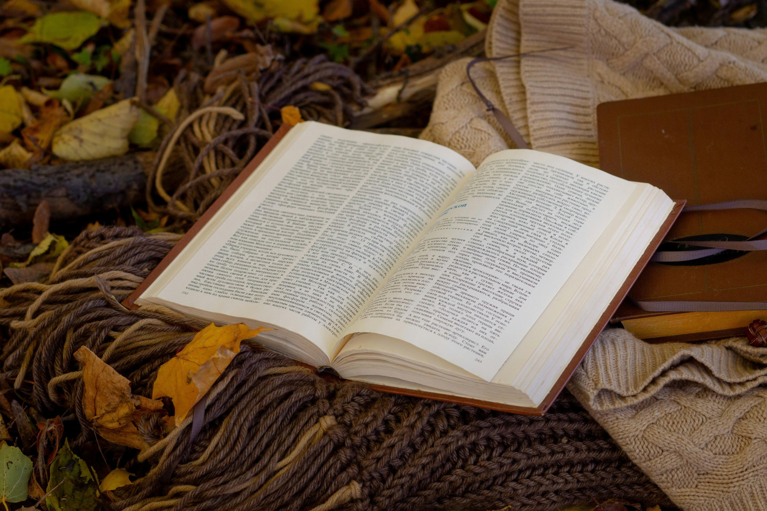Photo of a book sitting on a scarf and coat with fall leaves scattered around.